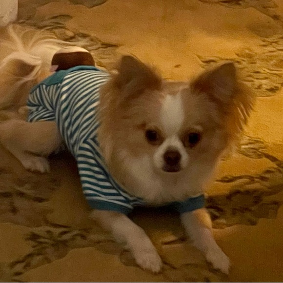 Meet your Posher, Erin - Picture 9 of 15